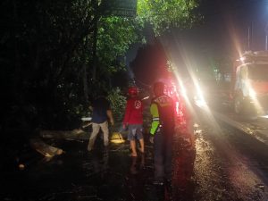 Pohon Tumbang Timpa Kontainer di Krian, Polisi dan Warga Gerak Cepat Lakukan Evakuasi