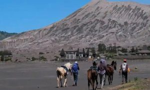 Long Weekend, Jalur Wisata Bromo via Probolinggo Sempat Padat 10 Menit