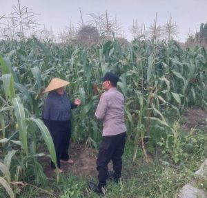 Dampingi Petani, Polsek Sidoarjo Kota Dukung Swasembada Pangan