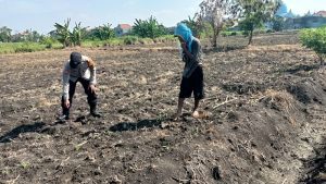 Kapolsek Taman Optimalkan Peran Bhabinkamtibmas Jalankan Ketahanan Pangan