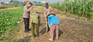 Polsek Candi Serahkan Bibit Jagung Hibrida Perkasa kepada Petani, Perkuat Ketahanan Pangan di Sidoarjo