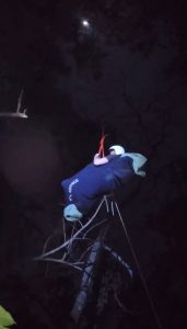 Tim SAR Gabungan Evakuasi Paraglider Asal Rusia yang Tersangkut di Pohon Pinus