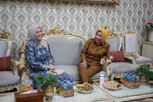 Terima Audiensi Wakil Walikota Banjarmasin, Wabup Mimik Bahas Optimalisasi Potensi Daerah dan Penguatan UMKM
