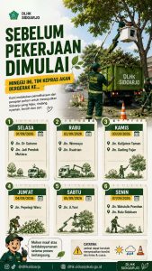 Masyarakat Diminta Segera Melapor Ketika Melihat Pohon Berisiko Tumbang
