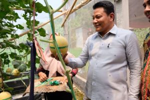 Bupati Subandi Resmikan Wisata Petik Melon BUMDes Candinegoro