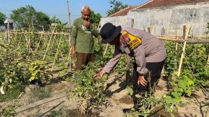 Polsek Balongbendo Masif Dampingi Warga Kelola P2L, Dukung Ketahanan Pangan