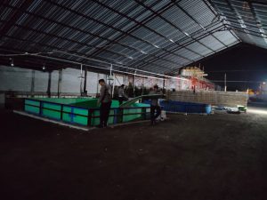 Respon Cepat Dumas, Polsek Candi Bongkar Lokasi Sabung Ayam di Kalipecabean