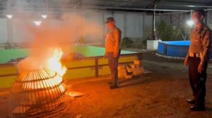 Polsek Candi Bongkar Sarana Sabung Ayam di Desa Klurak