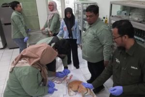 Peringati World Rabies Day 2026, DPPP Sidoarjo Gelar Vaksinasi Rabies Gratis