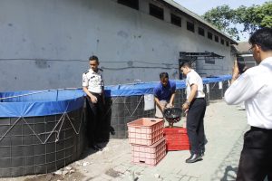 Dukung Ketahanan Pangan, Lapas Sidoarjo Panen 35 Kg Lele