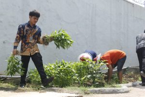 Dukung Ketahanan Pangan, Lapas Sidoarjo Panen Kangkung
